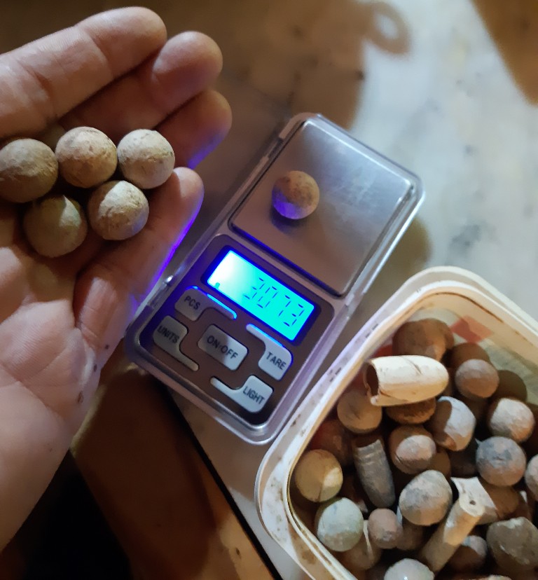 Colonial-Coin-Detector-Find