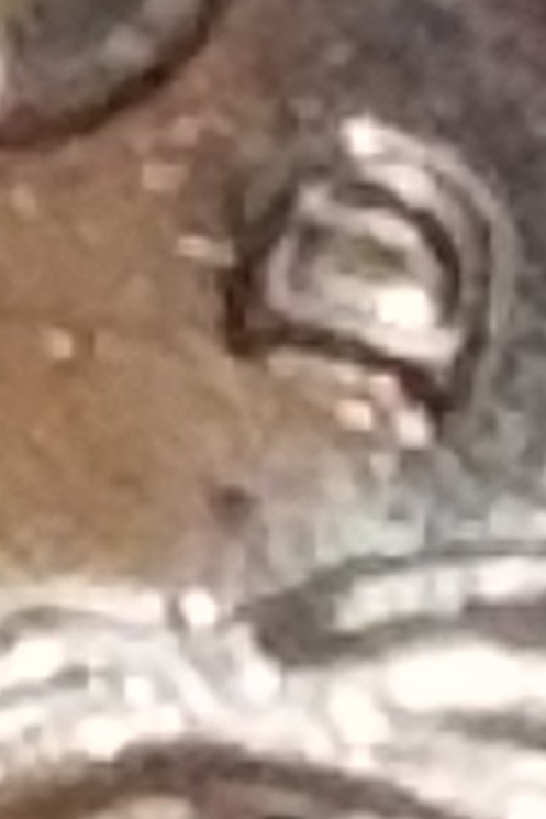 2000-D-Nickel-D/A-OMM-Error-Found-2-Opinion-Please