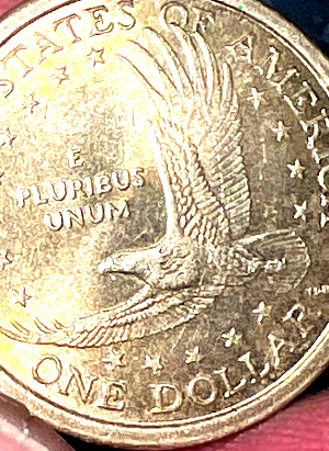 2000-Sacagawea-Wounded-Eagle-Longer-Die-Break?