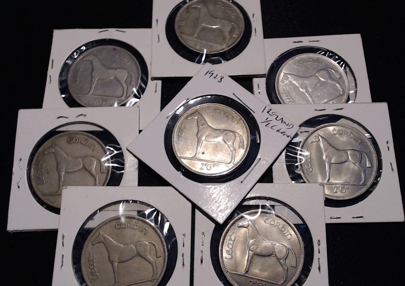 Post-Your-Coins-With-Horses