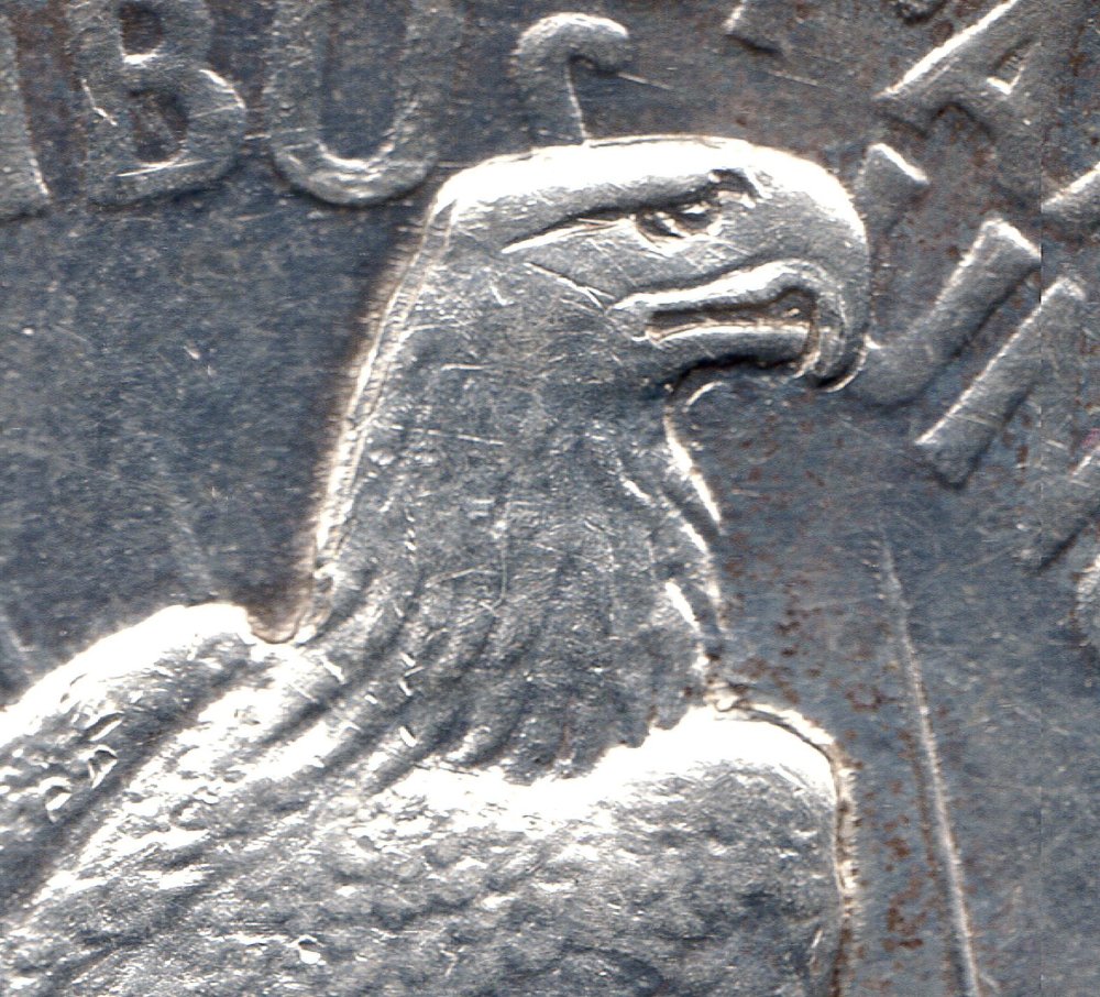 Is-This-Machine-Doubling-Or-Another-Type-Of-Error?-1921-Peace-Dollar