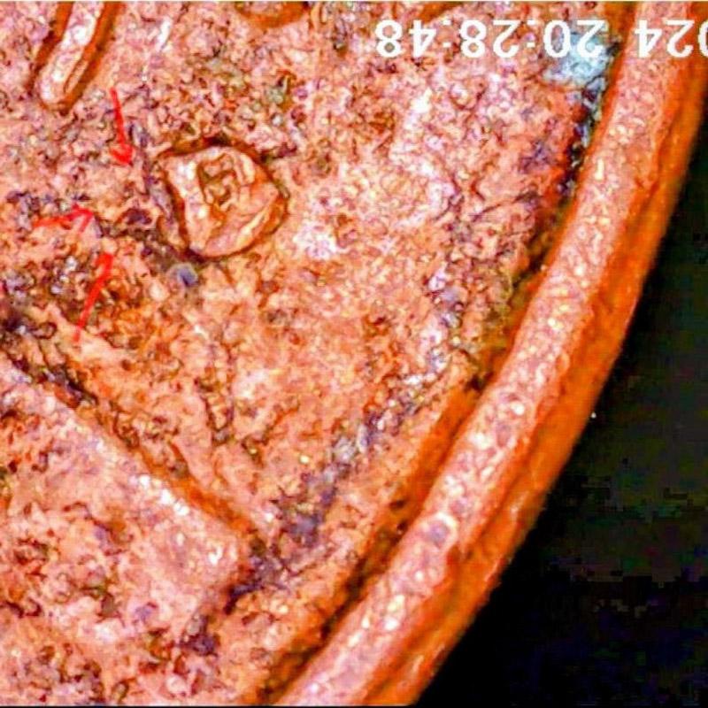 1973-D-Lincoln-Cent-1c---S/D-Mint-Mark-Error?