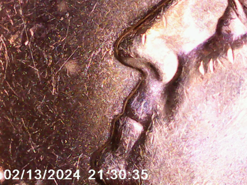 1998-P-Quarter-Wounded-Eagle-Var.,-Beak-Die-Chip,-DDO,-DDR,-Help!