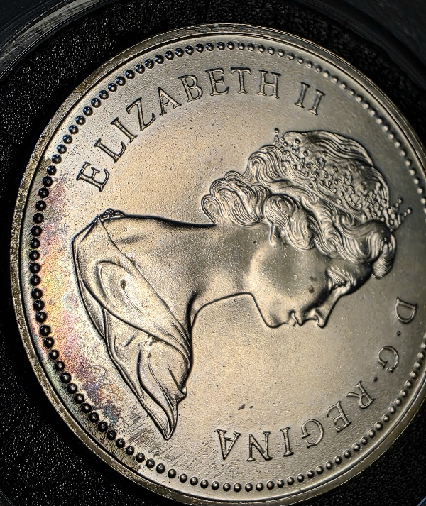 Spectacular-Toning-And-Date-Doubling-1973-RCMP-Dollar