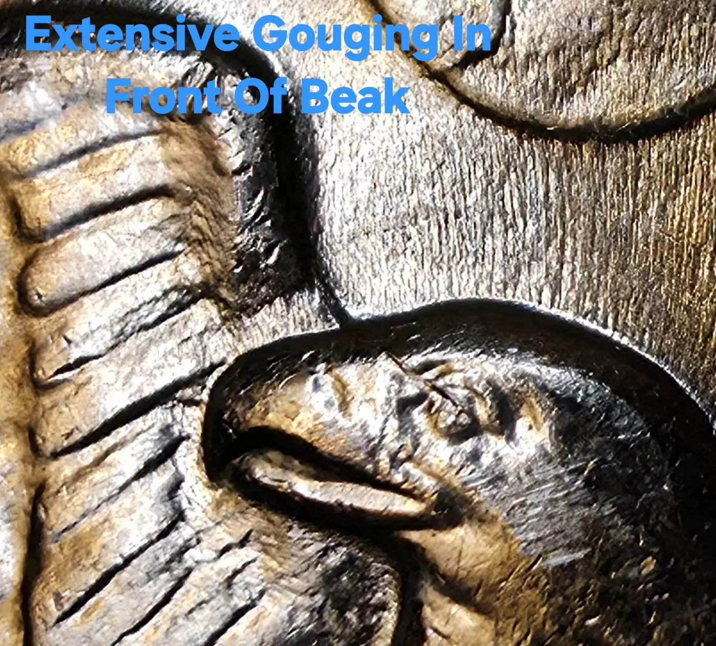 1974-Eisenhower-Dollar-Variants?