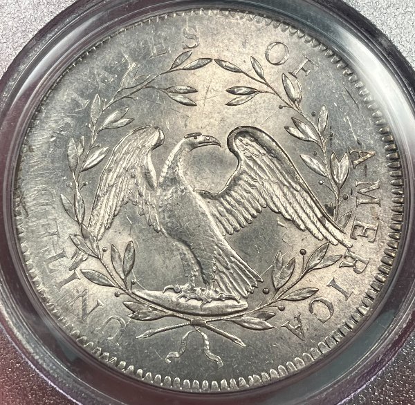 1794-$1-Silver-Dollar-Comparison---Round-2---Now-A-Million-Dollar-Coin?