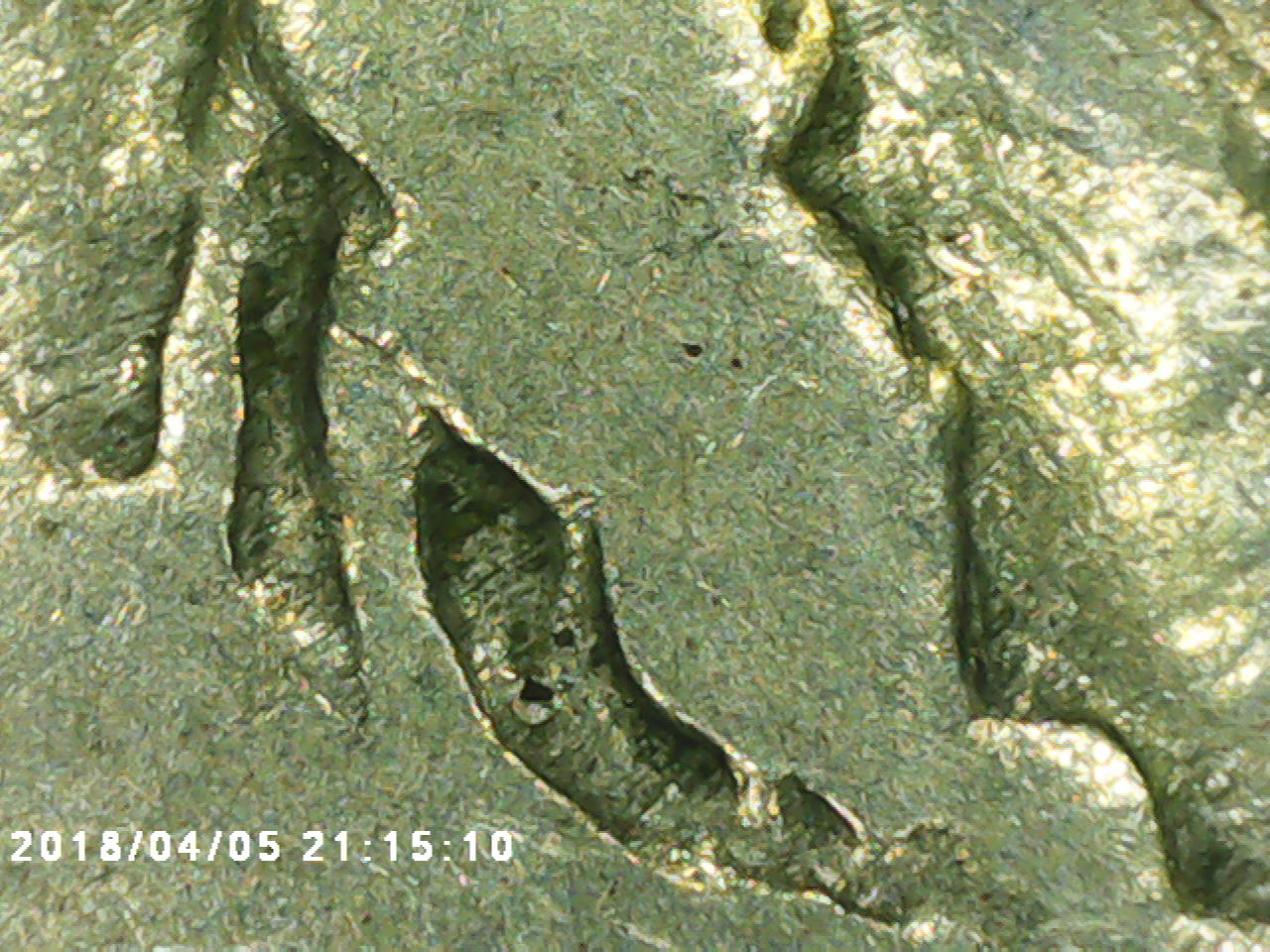1916-DDO-Buffalo-Confirmation?