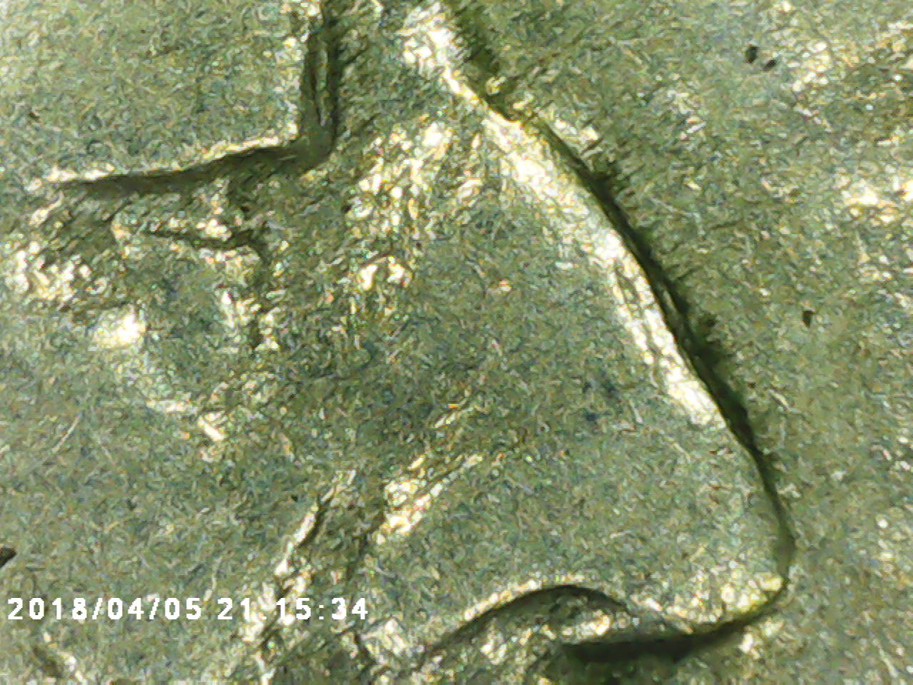 1916-DDO-Buffalo-Confirmation?