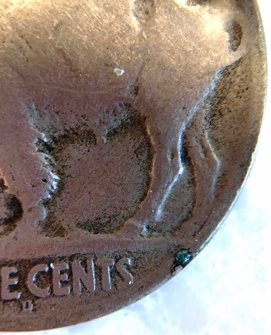 1918/17-D-Buffalo-Identification?