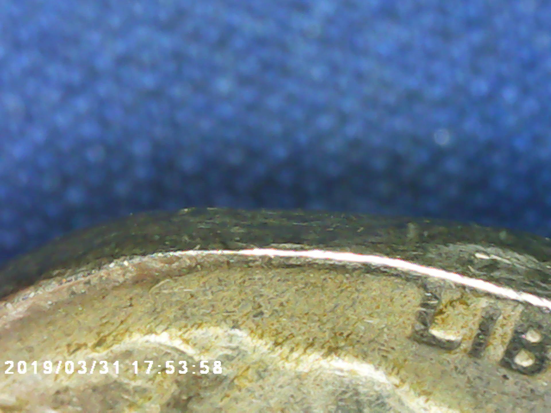Clip,-Clash/Crack-&-Greased-Buffalo-Nickels?