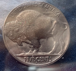 Buffalo-Nickel-Artificial-Toning?-1914-D