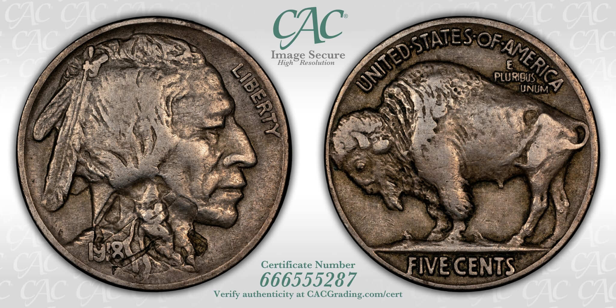 1918-P-Buffalo-Lamination-And-Struck-Thru?
