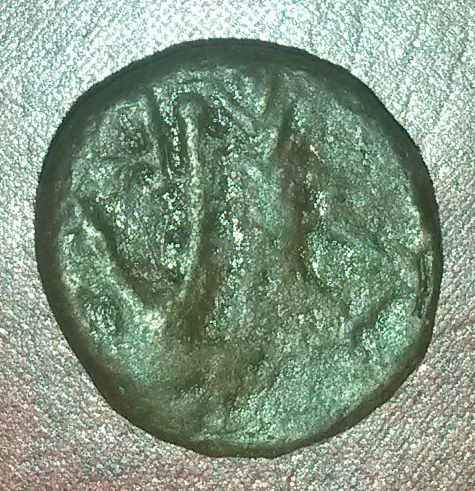 My-First-Animal-On-A-Coin.