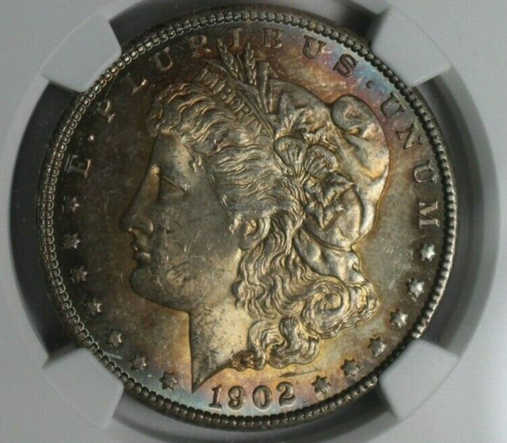 1902-O-Morgan-Dollar-Does-This-Look-Like-Any-Particular-VAM?