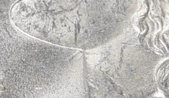 1889-P-Potential-VAM