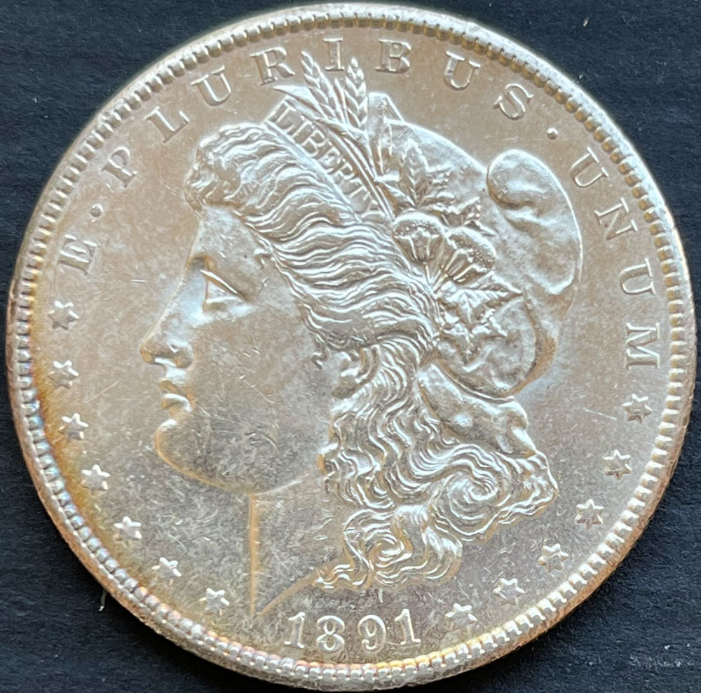 1891-S-Morgan-For-Thoughts