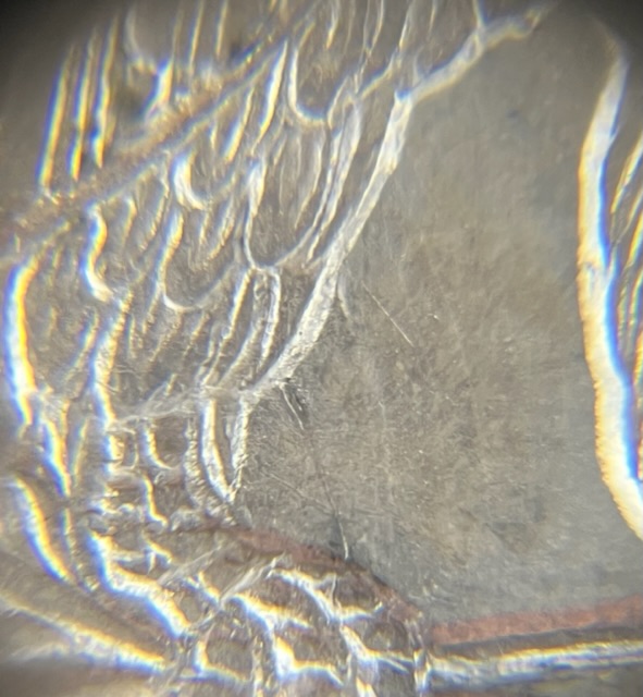 1858-Philly-Half--Variety-Questions