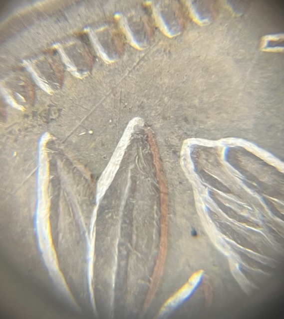 1858-Philly-Half--Variety-Questions