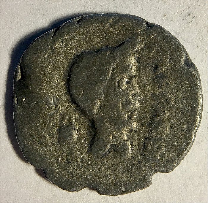 Elephant-Ancient-Bronze-Coin