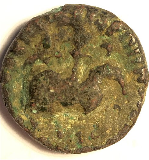 Greek-Coin-With-Horse-And-Wheat