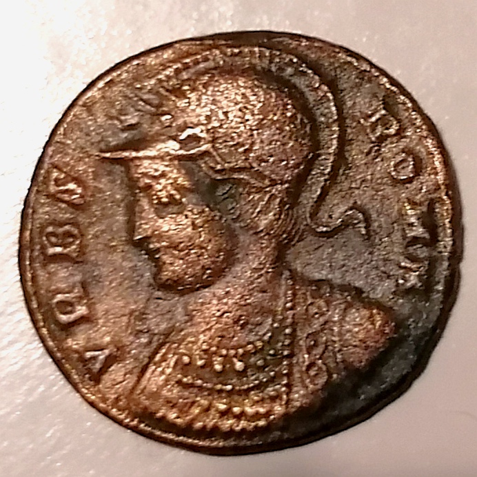 My-First-Animal-On-A-Coin.
