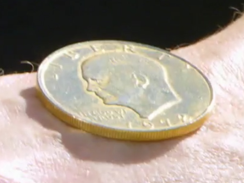 Numismatics-In-Shows
