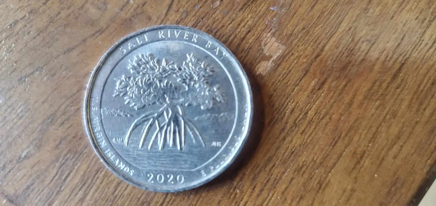2020-Quarter-Salt-River-Bay-Possible-Error?