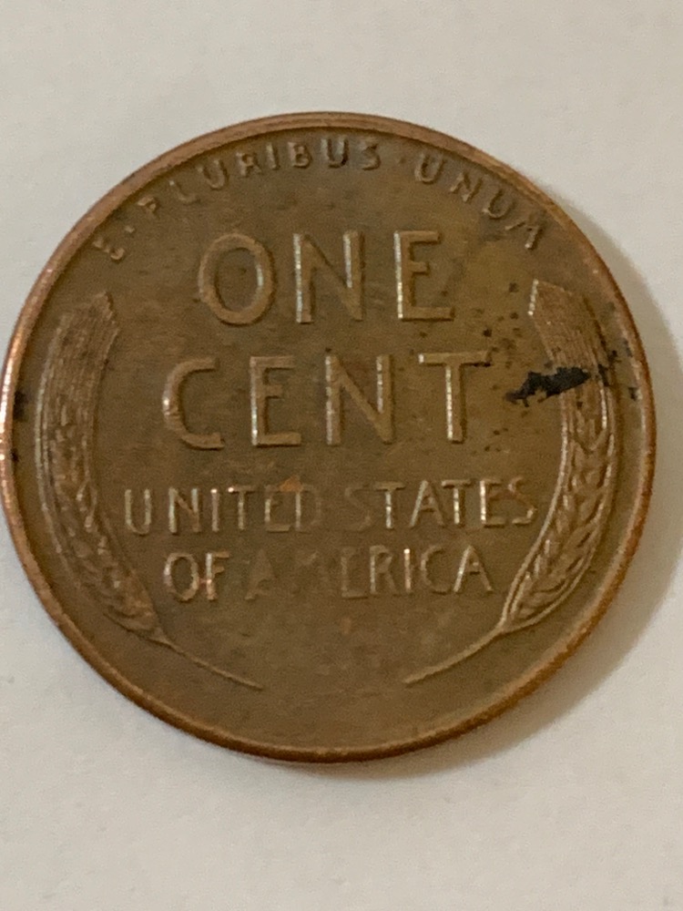 LMC-1954-S--Error-Or-?