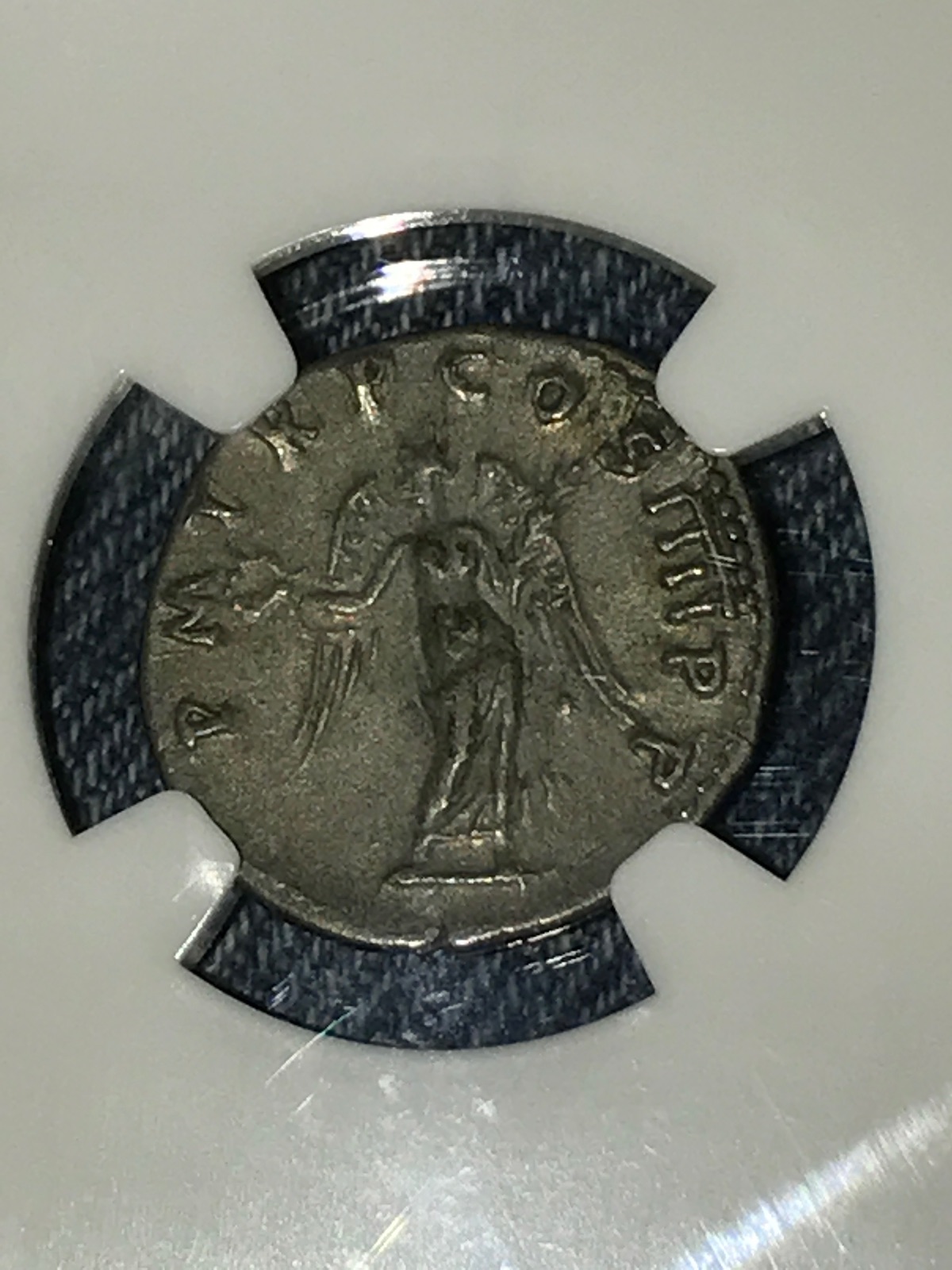 Can't-Find-Coin-On-Wildwinds?