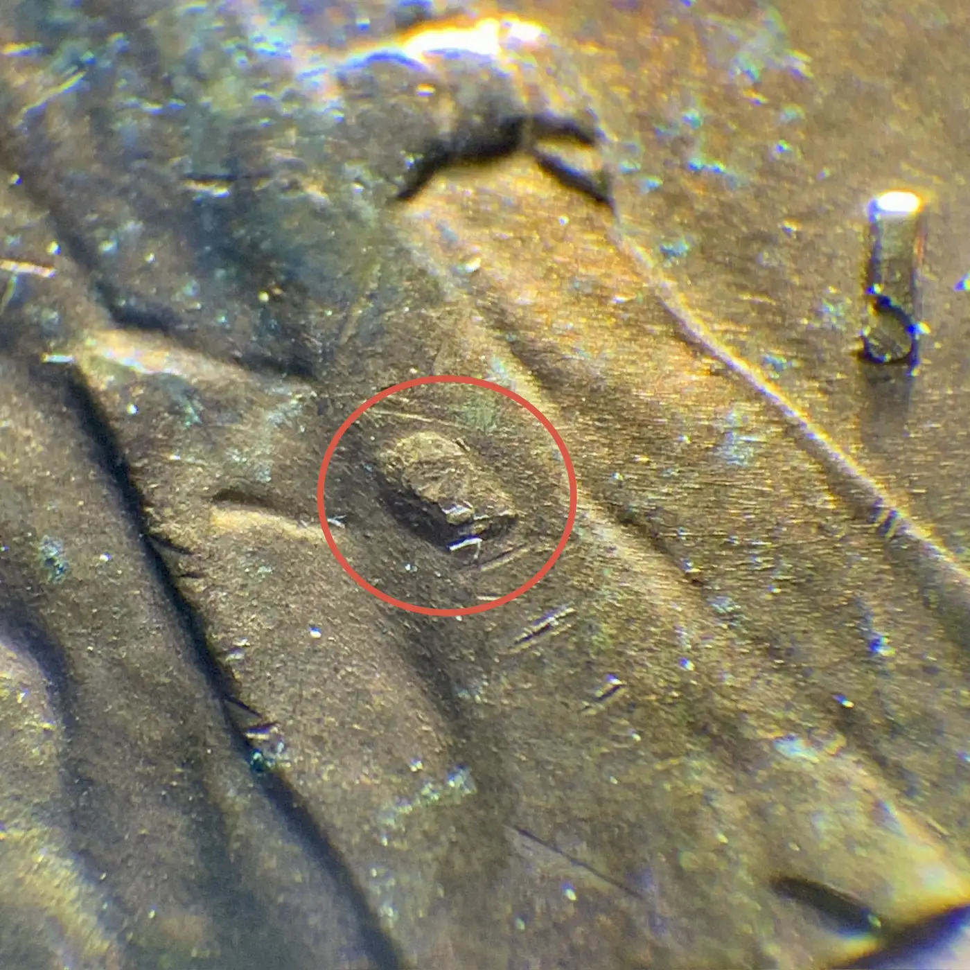 1960-D-Small-Date-BIE-Cent-W/-Unknown-Anomaly