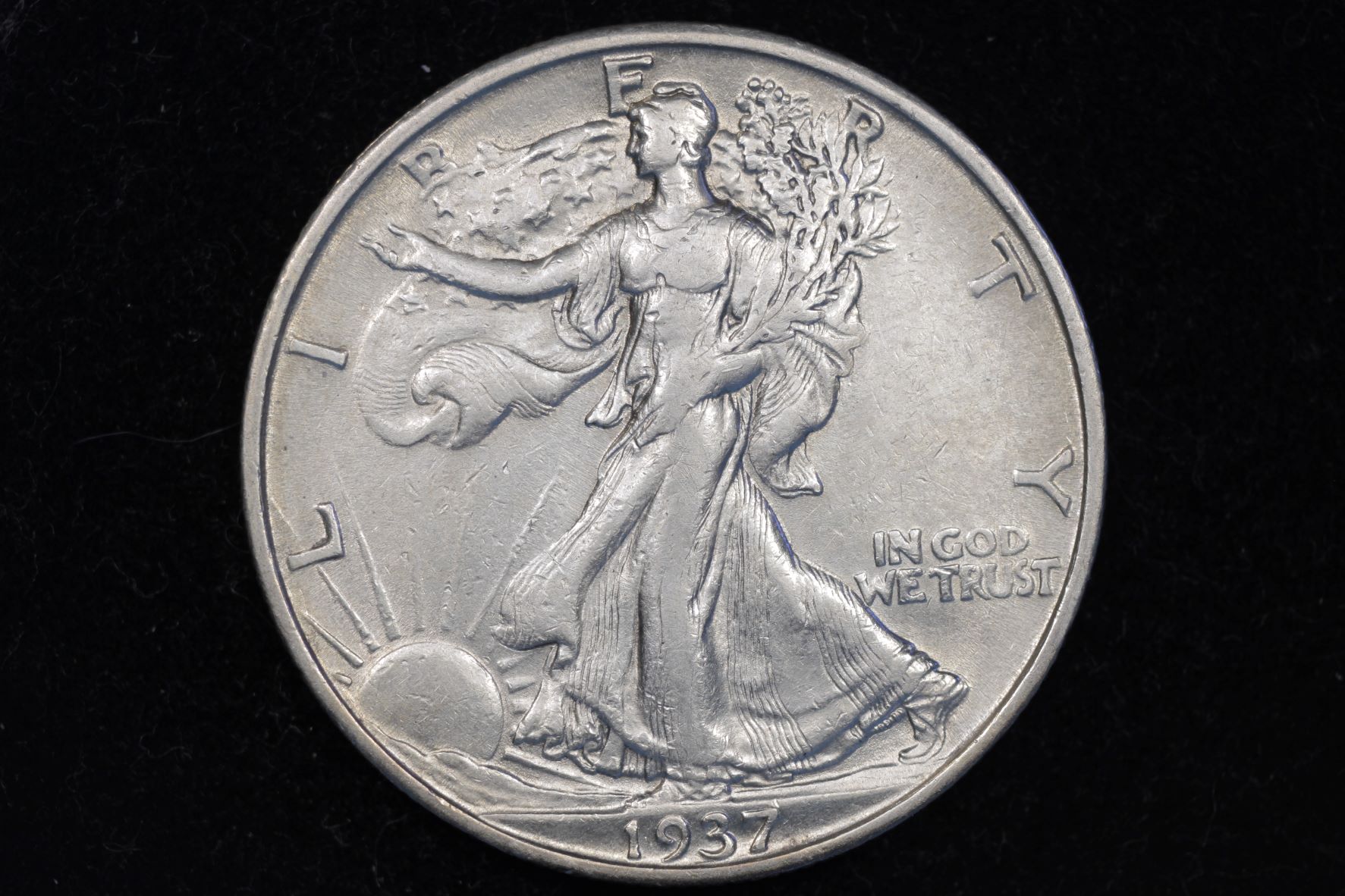 Walking-Liberty-Set-Started-Today---5/21/2022