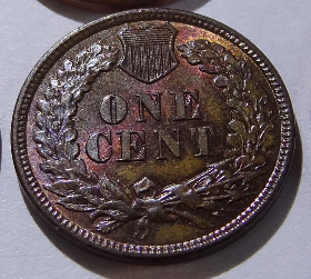 1881-Indian-Head-Cent-Help-Determining-BN-From-RB,-Lots-Of-Pics