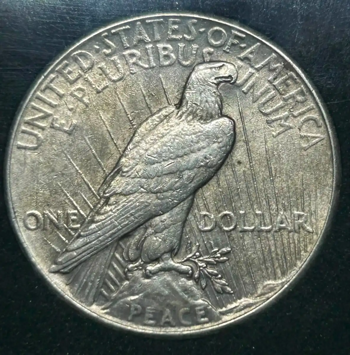 1928-P-Peace-Dollar-For-Grading