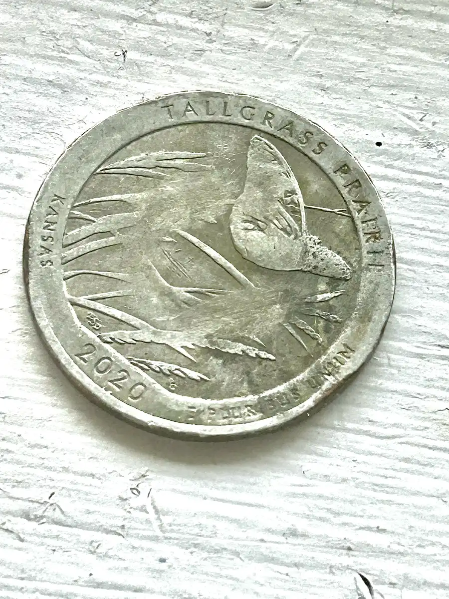2020-Tallgrass-Prairie-Quarter-Error?