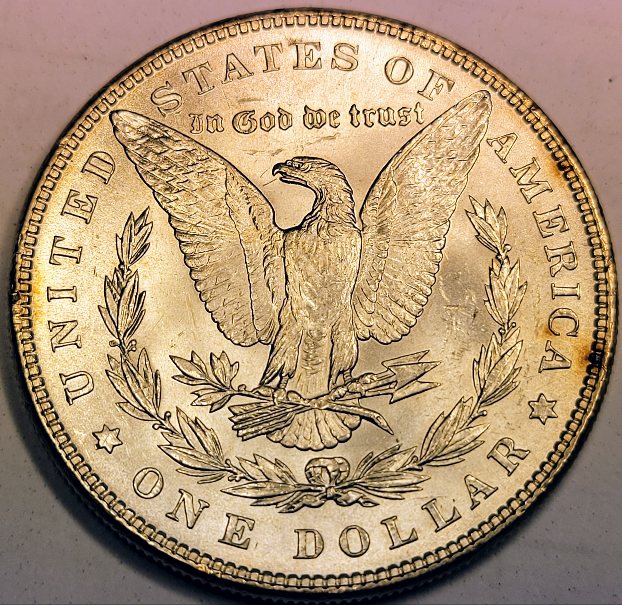 1886-Morgan-For-Evaluation