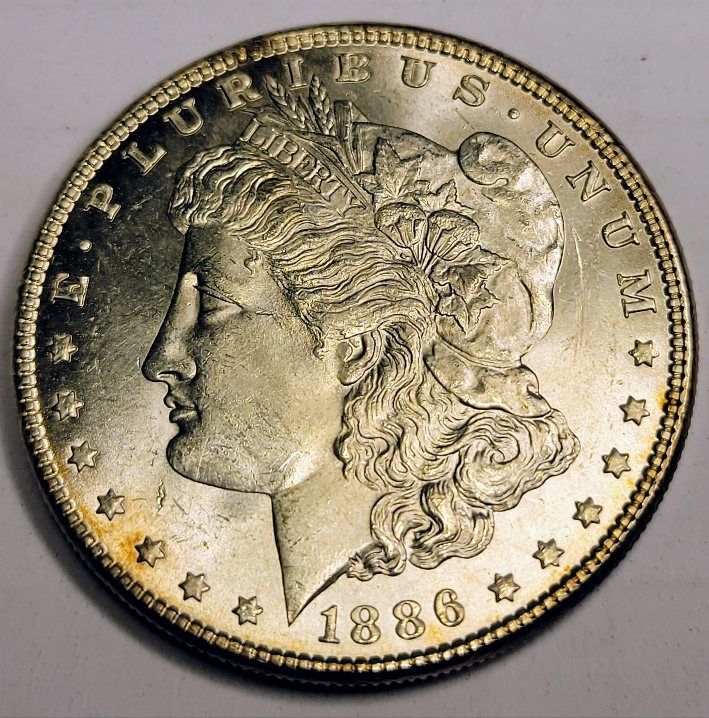 1886-Morgan-For-Evaluation