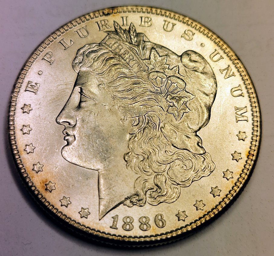 1886-Morgan-For-Evaluation
