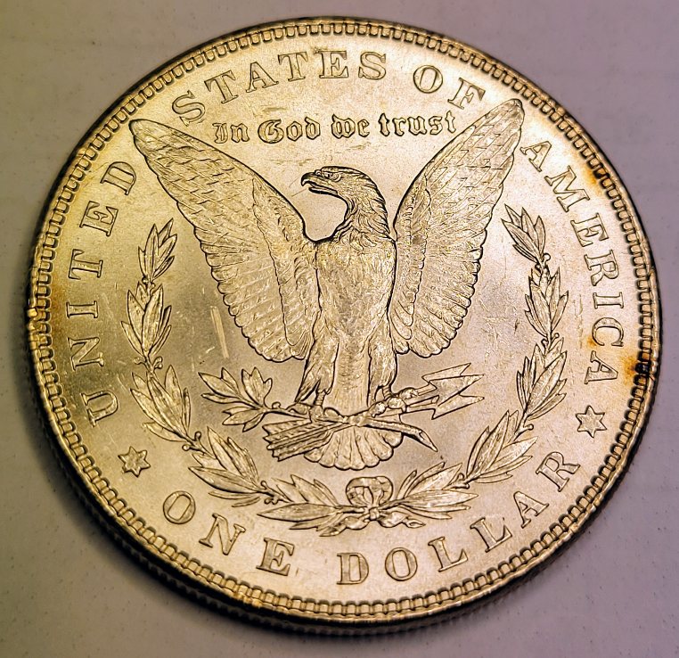 1886-Morgan-For-Evaluation