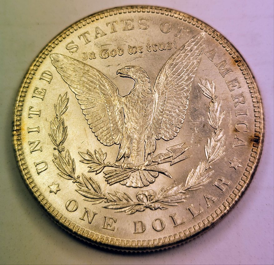 1886-Morgan-For-Evaluation
