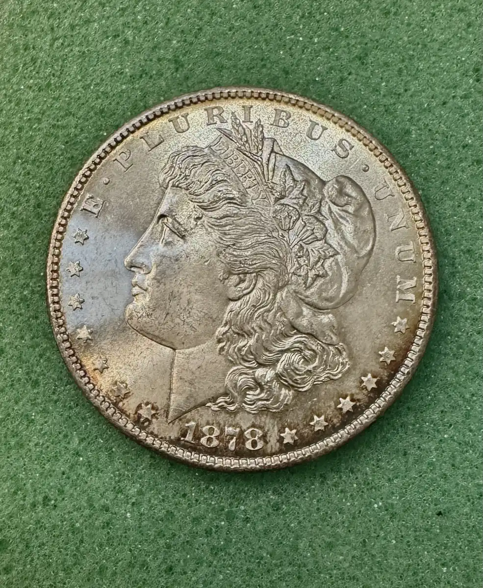 1878-S-Morgan-Dollar---VAM/Mint-Error-Identification-Help,