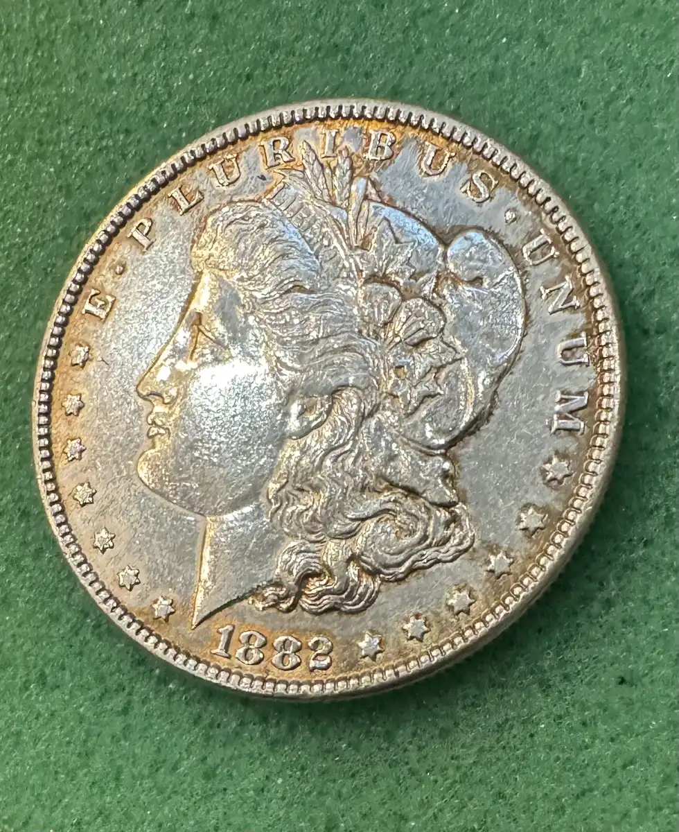 1882-DMPL-Morgan?-Frosted,--How-Would-This-Be-Graded?
