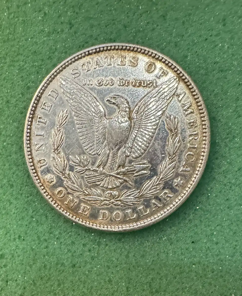 1882-DMPL-Morgan?-Frosted,--How-Would-This-Be-Graded?