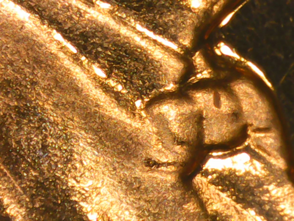 1963-Proof-Vista-DDO-003-Cent