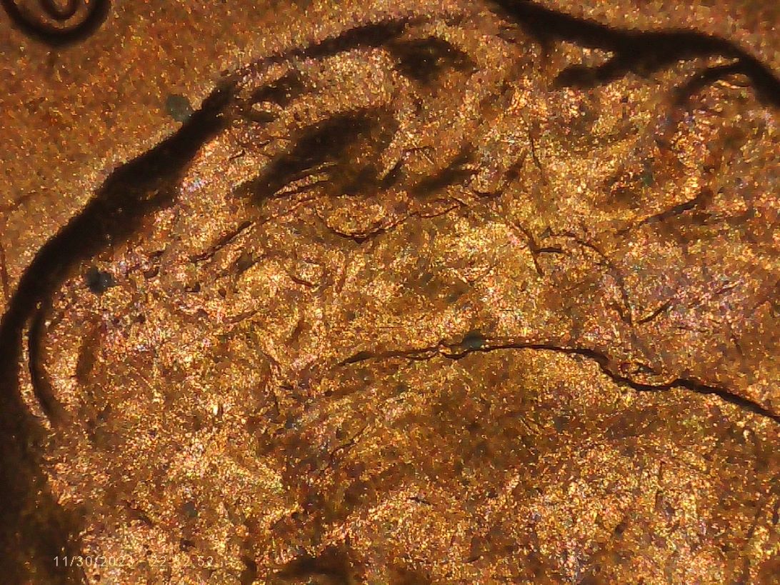 1955-S-Cent-Cud,-Retained-Cud-Or-Die-Chip?