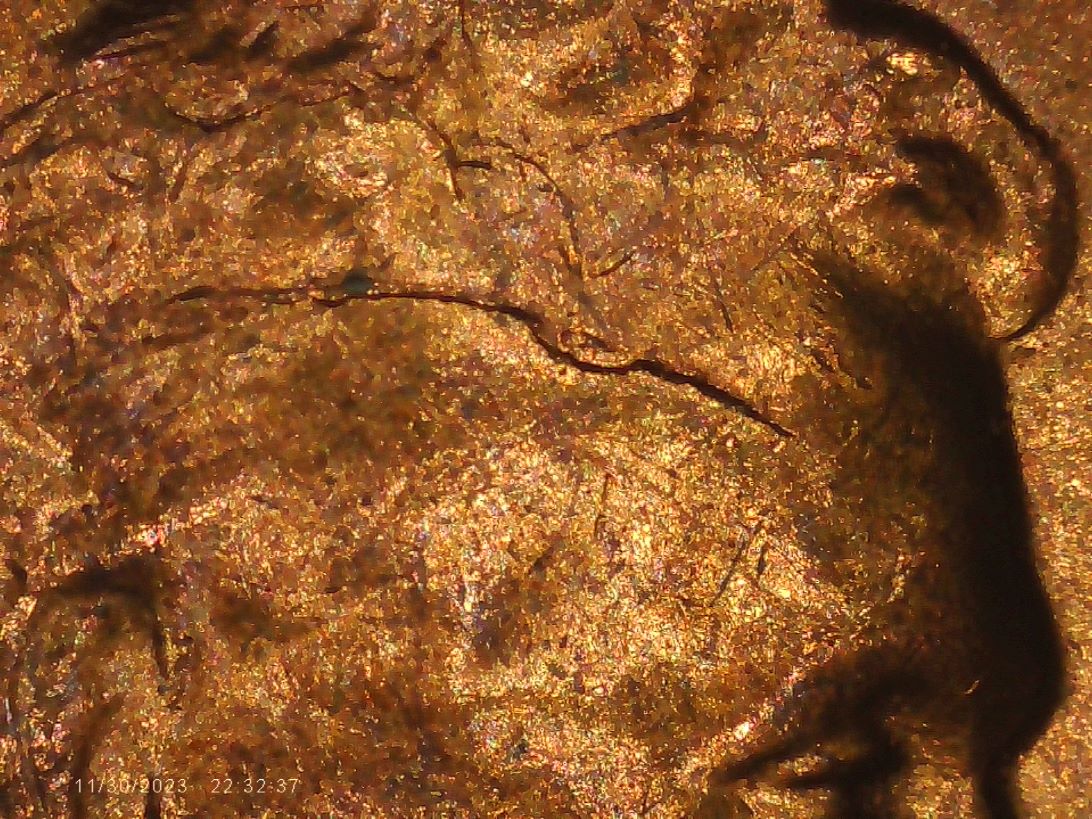 1955-S-Cent-Cud,-Retained-Cud-Or-Die-Chip?
