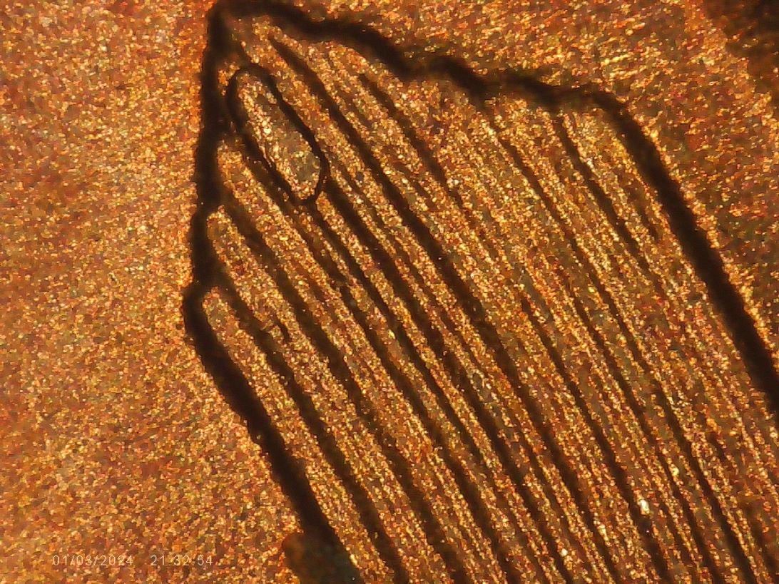 1955-S-Cent-Die-Chips/Cracks