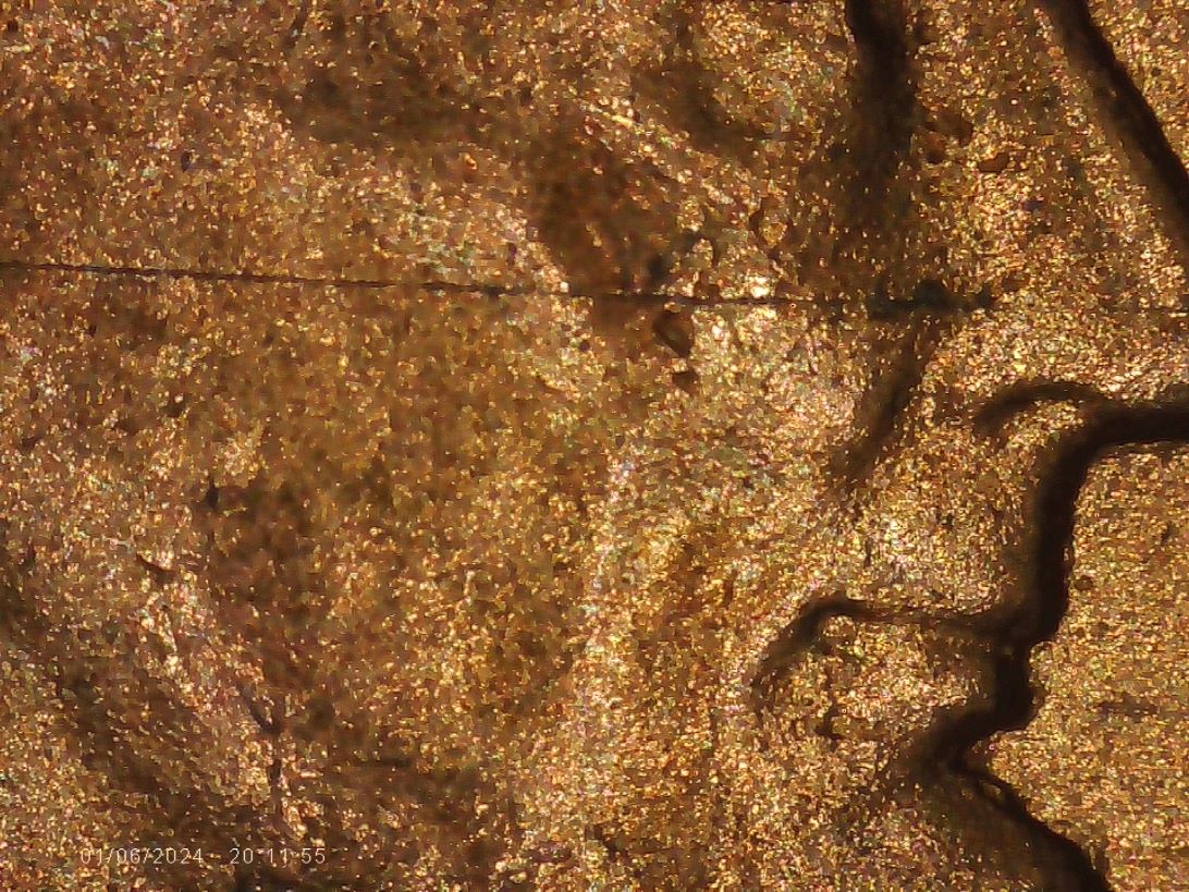 1960-D-One-Cent-Small-Or-Large-Date