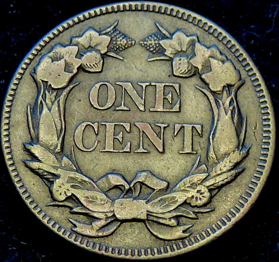 1857-Flying-Eagle-Treated-With-Verdi-Care