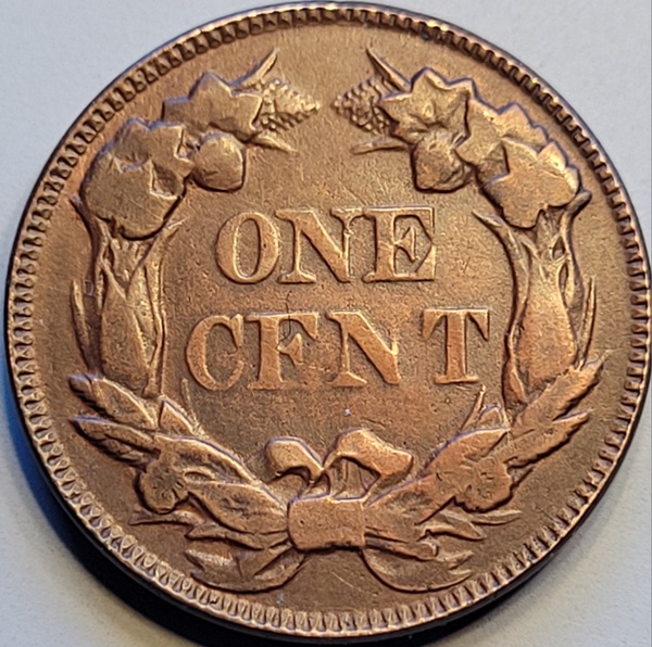 1857-Flying-Eagle-New-Variety-?