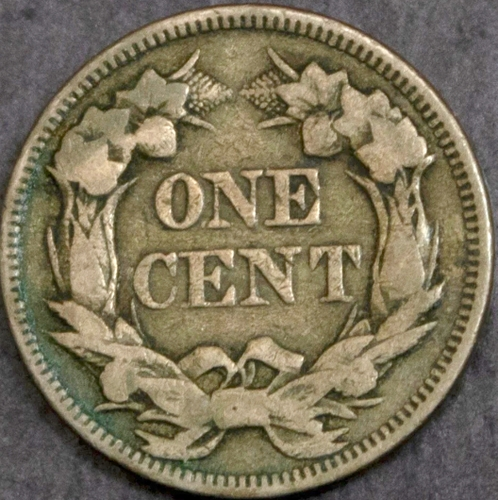 1857-Snow-7-Fe---My-Greatest-Cherrypick-Of-All-Timelying-Eagles